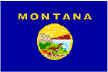 mtflag mtflag